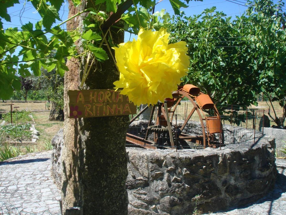 Casa Das Palmeiras-Pedagogic Farm Villa Mangualde Eksteriør billede