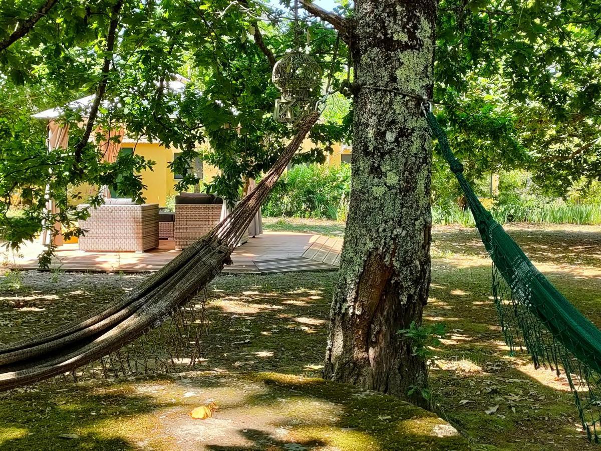 Casa Das Palmeiras-Pedagogic Farm Villa Mangualde Eksteriør billede