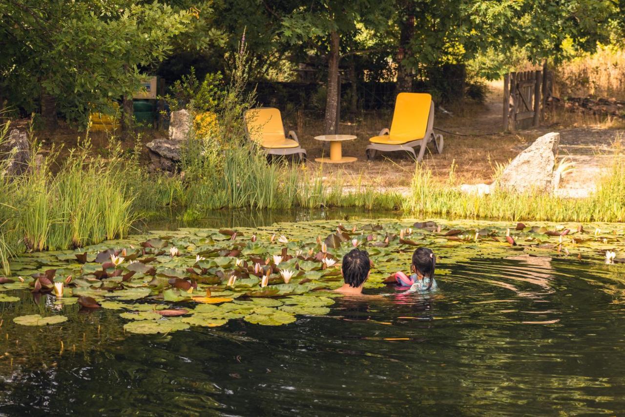 Casa Das Palmeiras-Pedagogic Farm Villa Mangualde Eksteriør billede