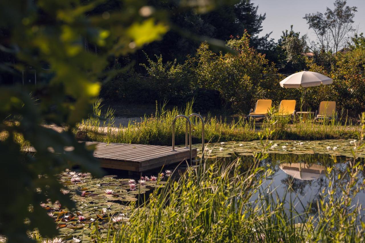 Casa Das Palmeiras-Pedagogic Farm Villa Mangualde Eksteriør billede