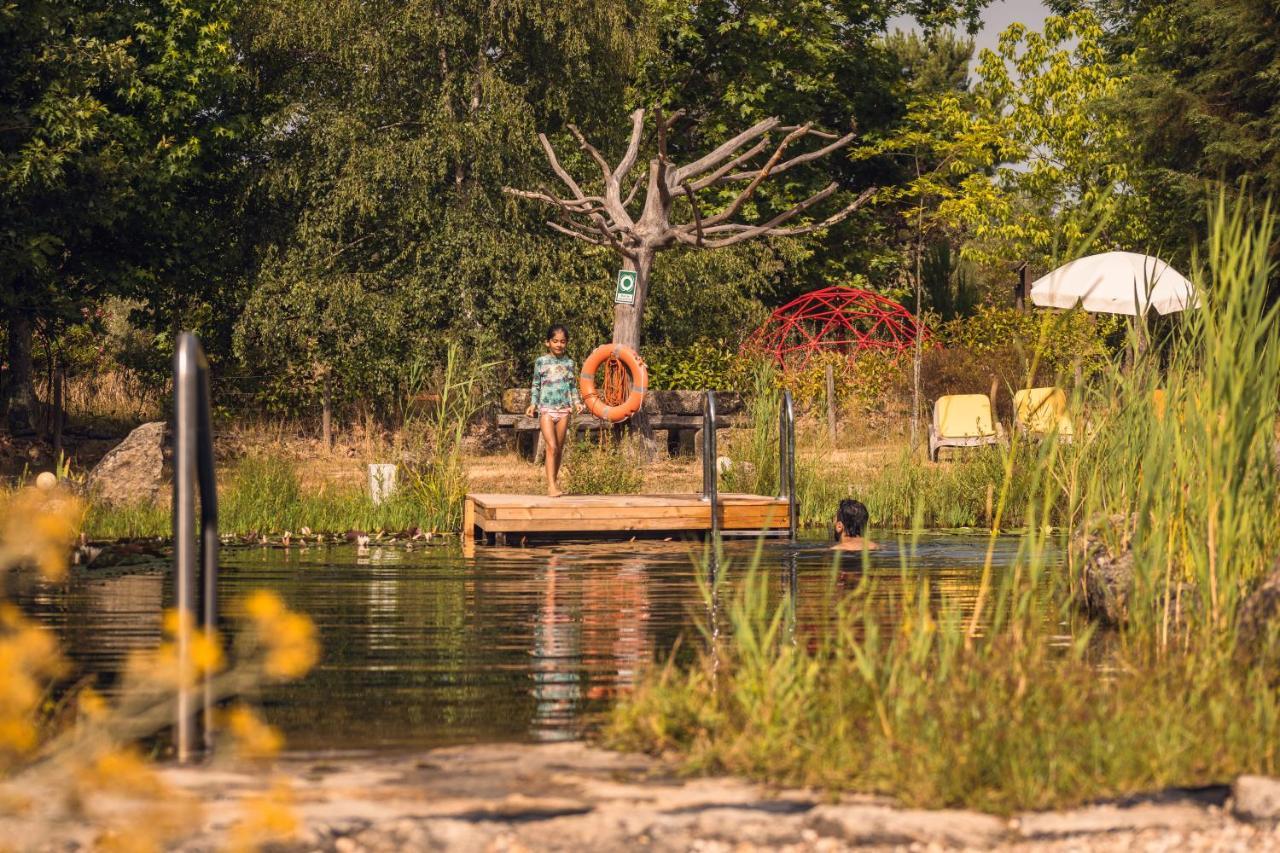 Casa Das Palmeiras-Pedagogic Farm Villa Mangualde Eksteriør billede