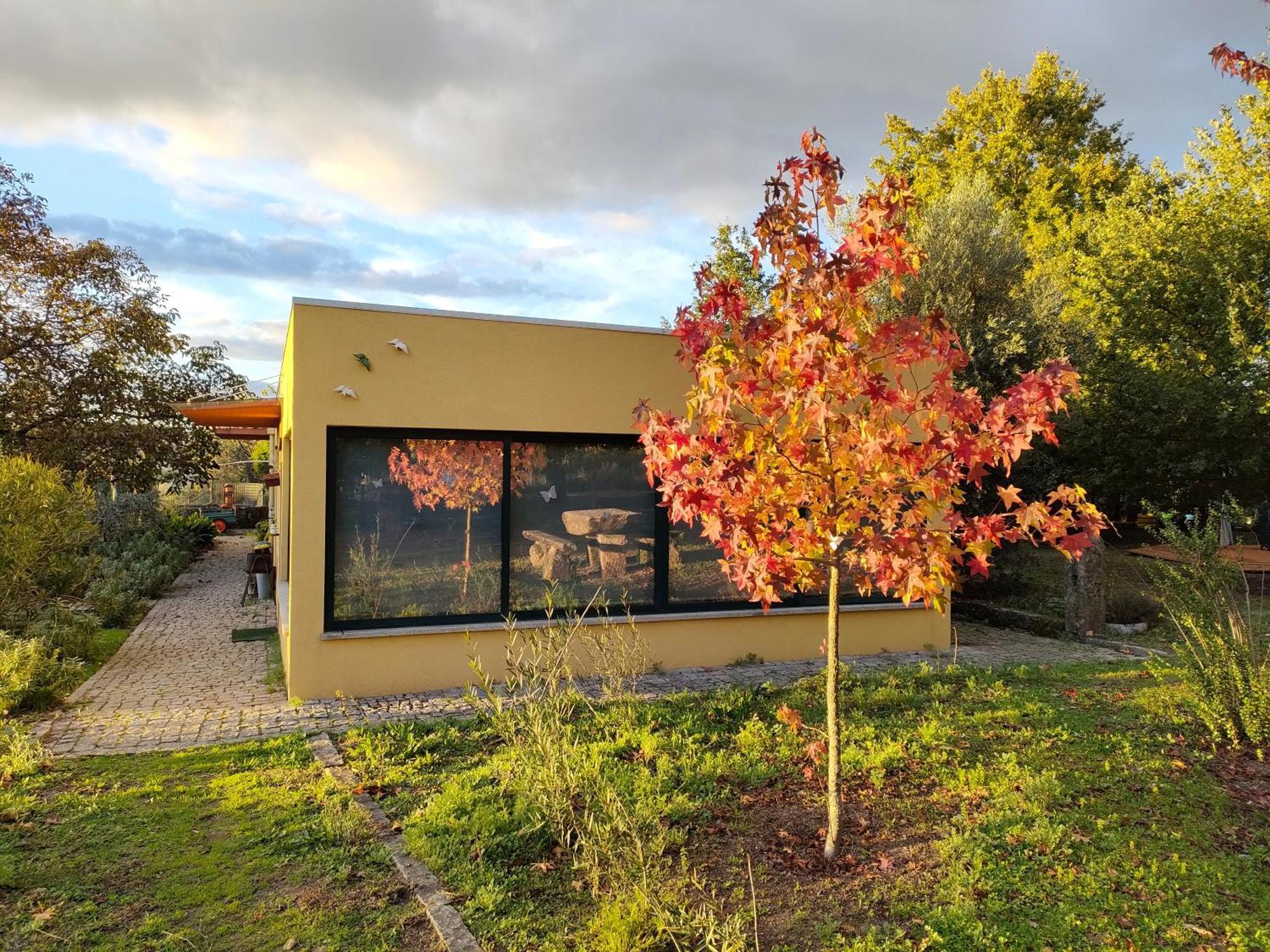 Casa Das Palmeiras-Pedagogic Farm Villa Mangualde Værelse billede