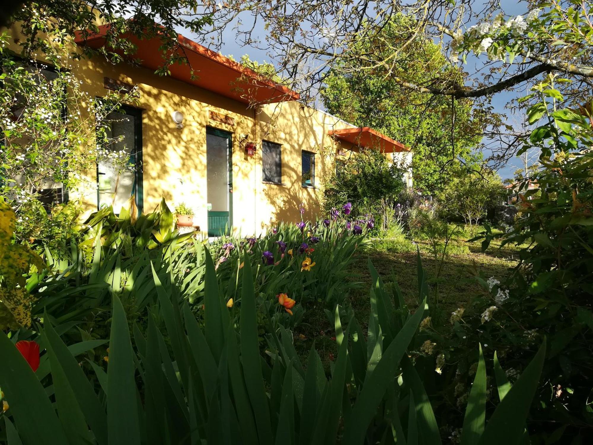 Casa Das Palmeiras-Pedagogic Farm Villa Mangualde Værelse billede