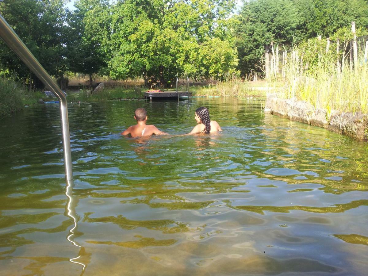 Casa Das Palmeiras-Pedagogic Farm Villa Mangualde Eksteriør billede