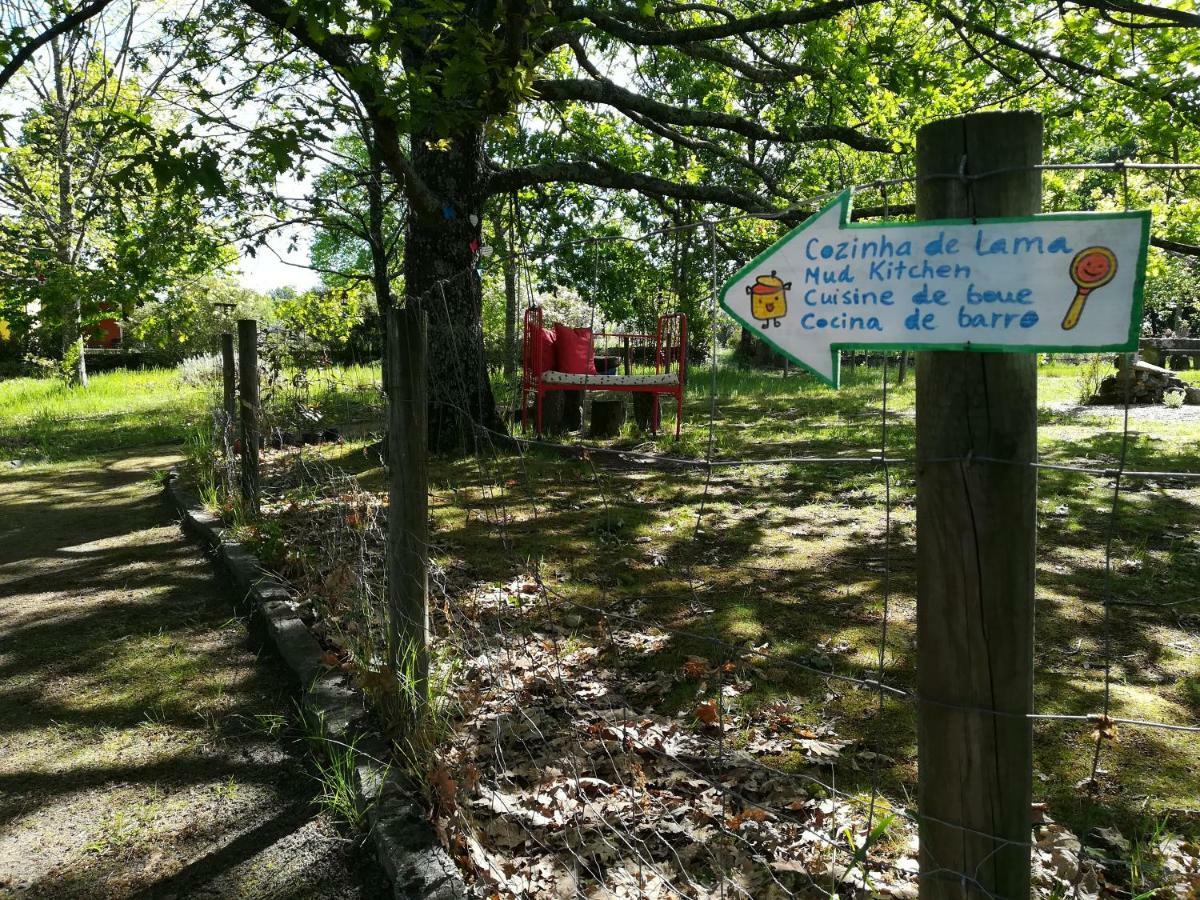 Casa Das Palmeiras-Pedagogic Farm Villa Mangualde Eksteriør billede